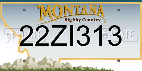 22ZI313 Montana License Plate