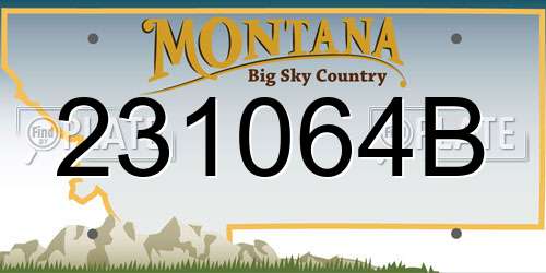 231064B Montana License Plate