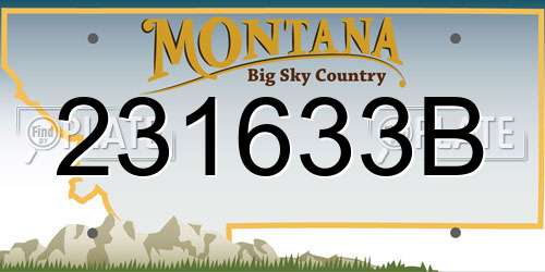 231633B Montana License Plate
