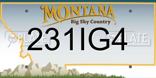 231IG4 Montana License Plate