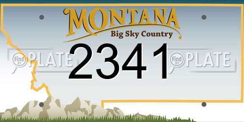2341 Montana License Plate
