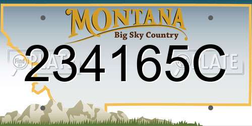 234165C Montana License Plate