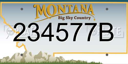 234577B Montana License Plate