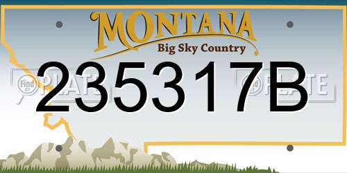 235317B Montana License Plate