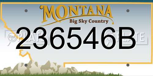 236546B Montana License Plate