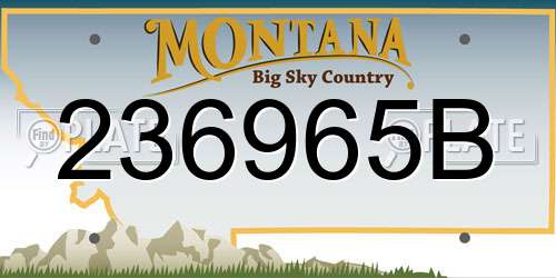 236965B Montana License Plate