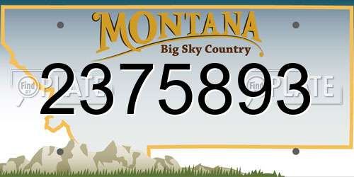 2375893 Montana License Plate