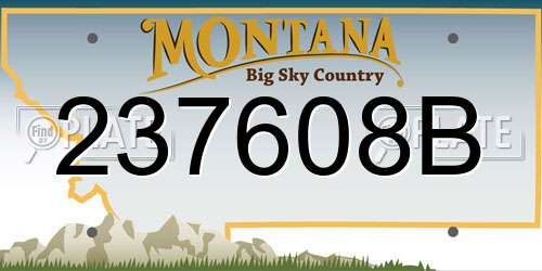 237608B Montana License Plate