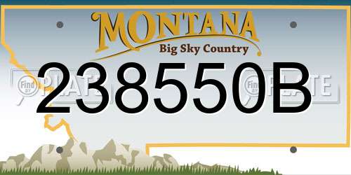 238550B Montana License Plate