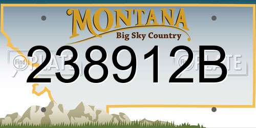 238912B Montana License Plate