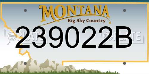 239022B Montana License Plate