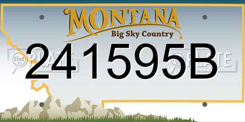 241595B Montana License Plate