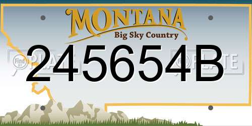 245654B Montana License Plate