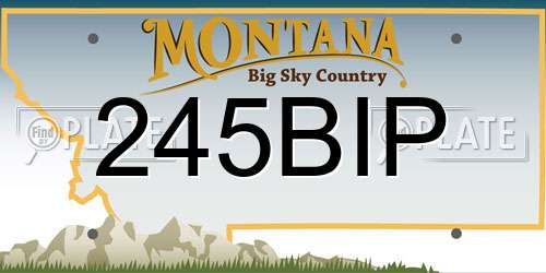 245BIP Montana License Plate