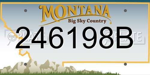 246198B Montana License Plate