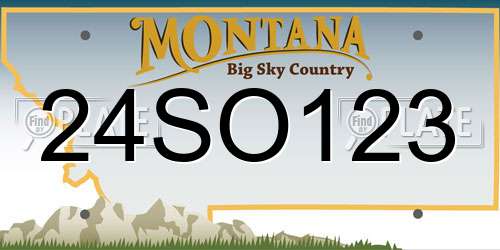 24SO123 Montana License Plate