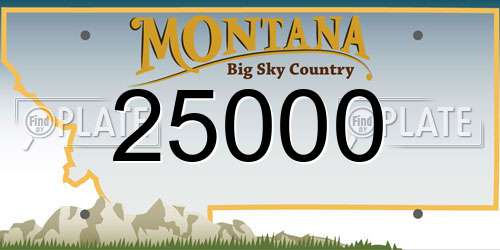 25000 Montana License Plate