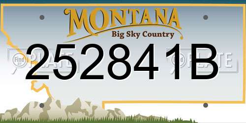 252841B Montana License Plate
