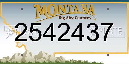 2542437 Montana License Plate