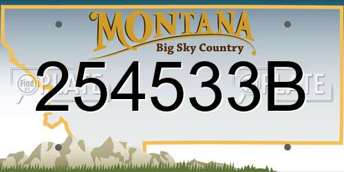 254533B Montana License Plate