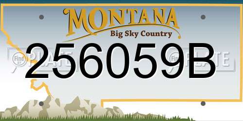 256059B Montana License Plate