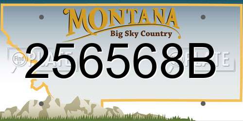 256568B Montana License Plate