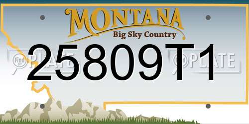 25809T1 Montana License Plate