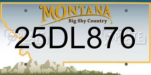 25DL876 Montana License Plate