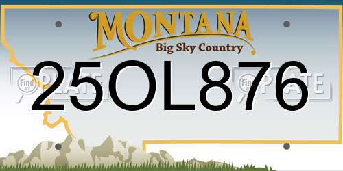 25OL876 Montana License Plate