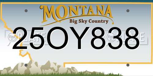 25OY838 Montana License Plate