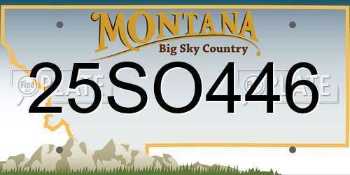 25SO446 Montana License Plate
