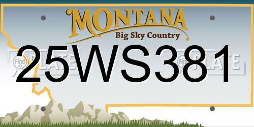 25WS381 Montana License Plate