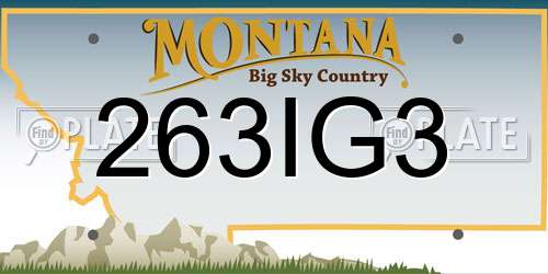 263IG3 Montana License Plate