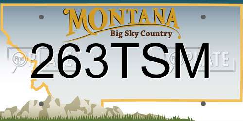 263TSM Montana License Plate