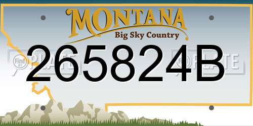 265824B Montana License Plate