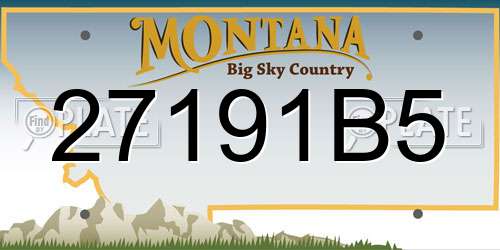 27191B5 Montana License Plate