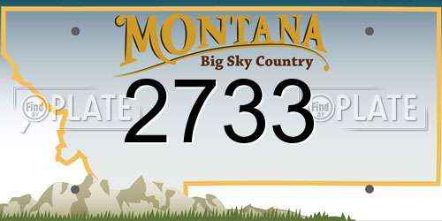 2733 Montana License Plate