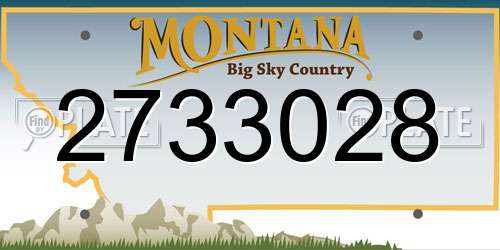 2733028 Montana License Plate