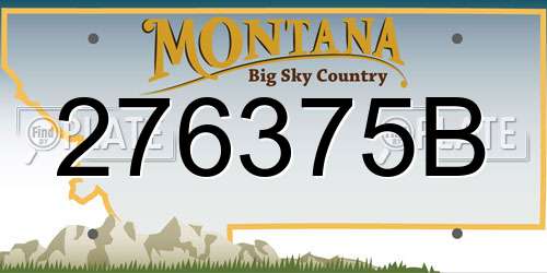 276375B Montana License Plate