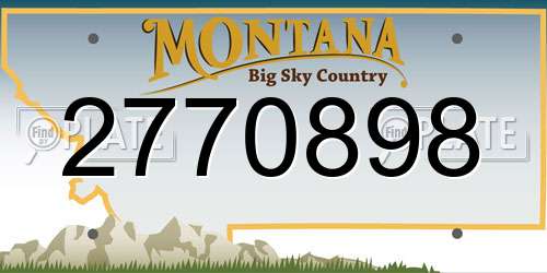 2770898 Montana License Plate