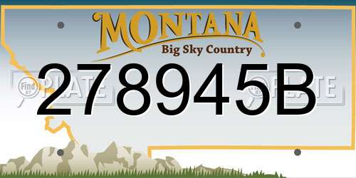 278945B Montana License Plate