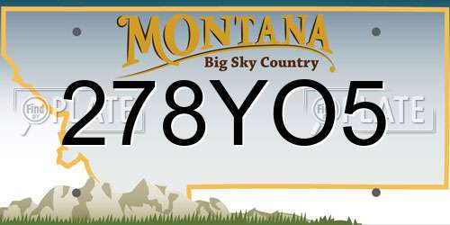 278YO5 Montana License Plate