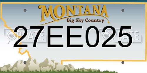 27EE025 Montana License Plate