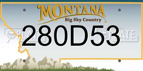 280D53 Montana License Plate