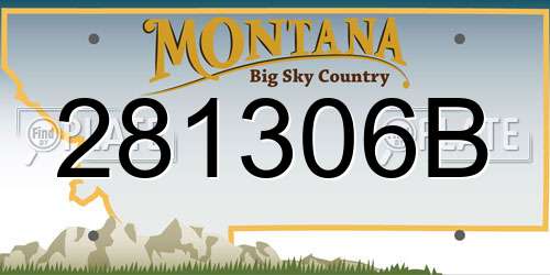 281306B Montana License Plate