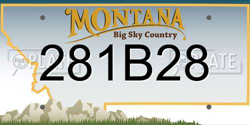 281B28 Montana License Plate