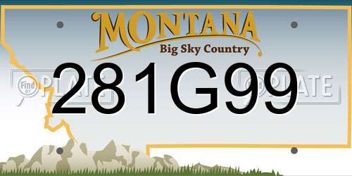 281G99 Montana License Plate