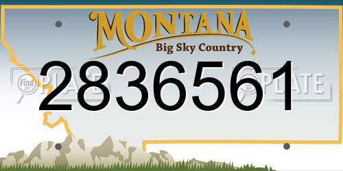 2836561 Montana License Plate