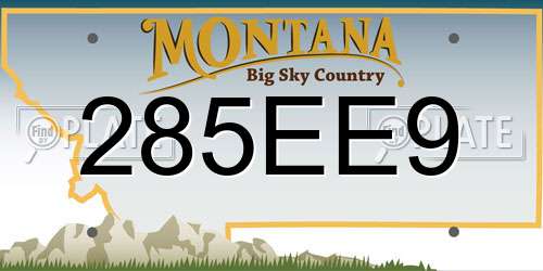 285EE9 Montana License Plate