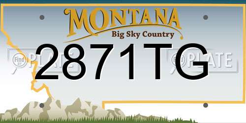 2871TG Montana License Plate
